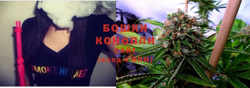 Бошки марихуана Ganja  наркота  Куса 